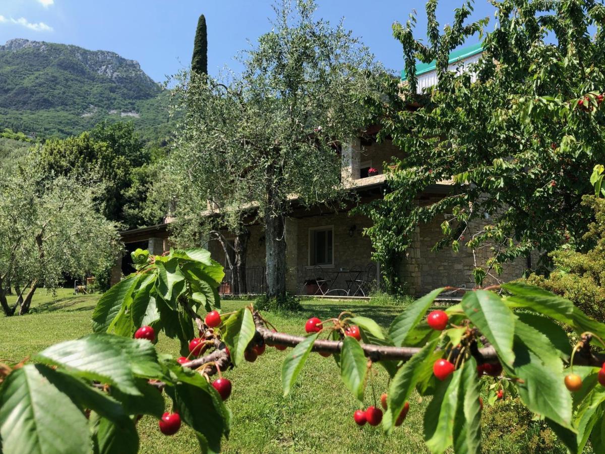 La Cascata Negli Ulivi Bed & Breakfast Toscolano Maderno Eksteriør bilde