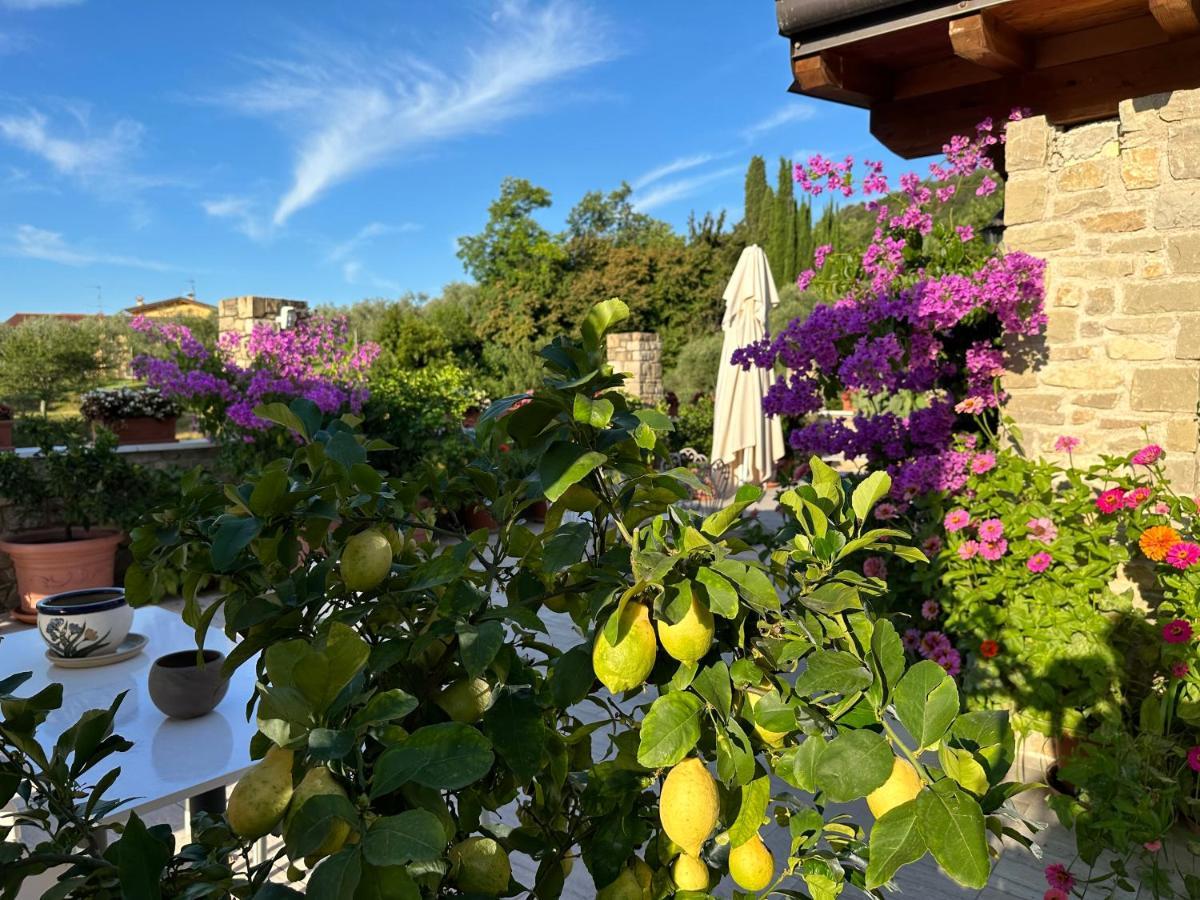 La Cascata Negli Ulivi Bed & Breakfast Toscolano Maderno Eksteriør bilde