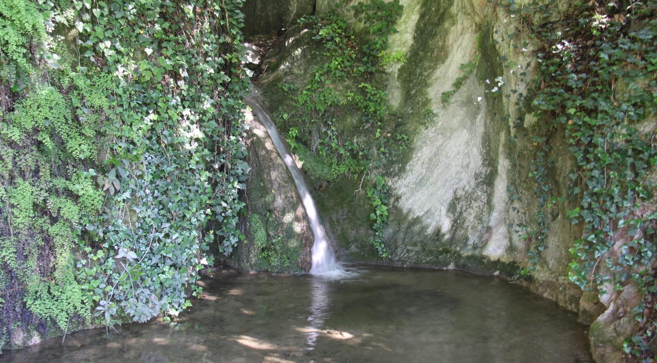 La Cascata Negli Ulivi Bed & Breakfast Toscolano Maderno Eksteriør bilde