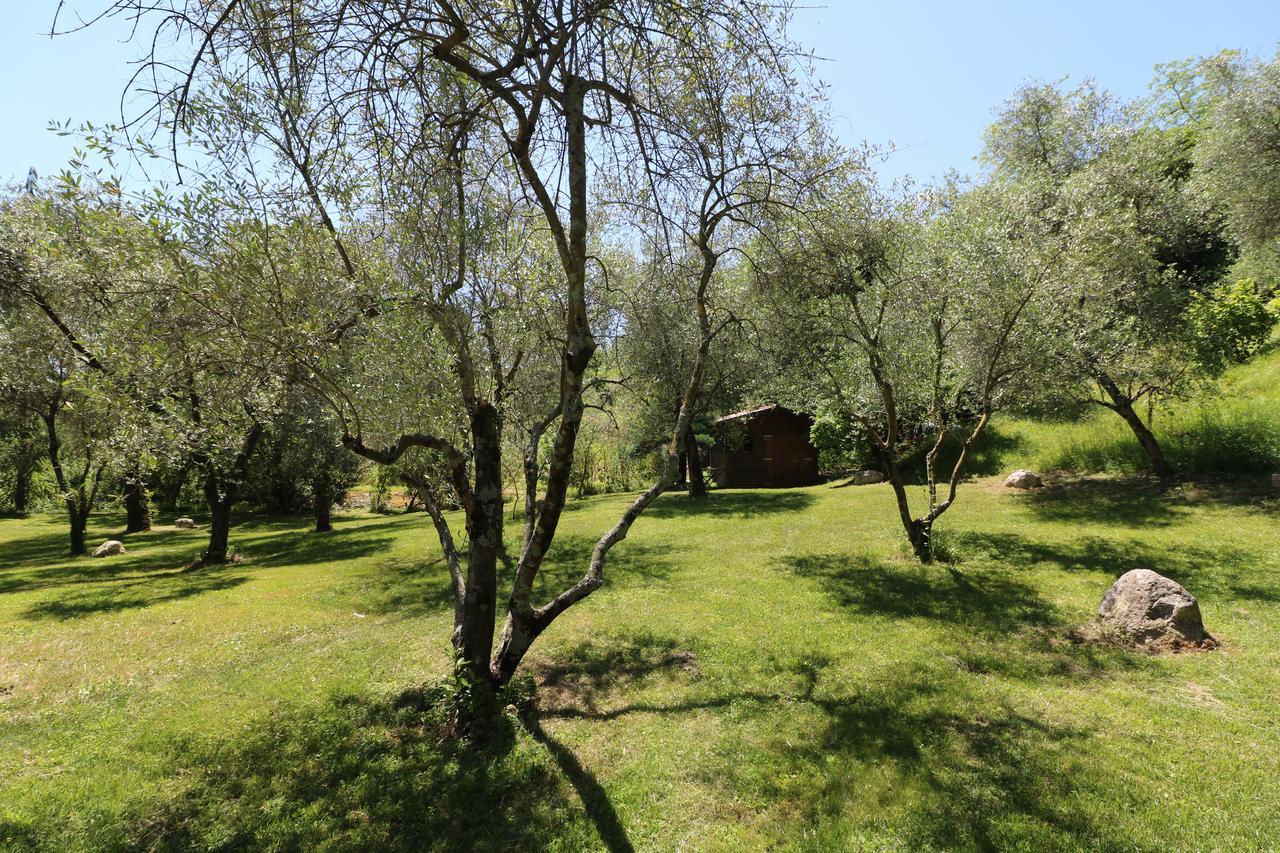 La Cascata Negli Ulivi Bed & Breakfast Toscolano Maderno Eksteriør bilde