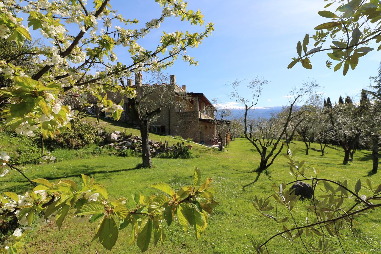 La Cascata Negli Ulivi Bed & Breakfast Toscolano Maderno Eksteriør bilde