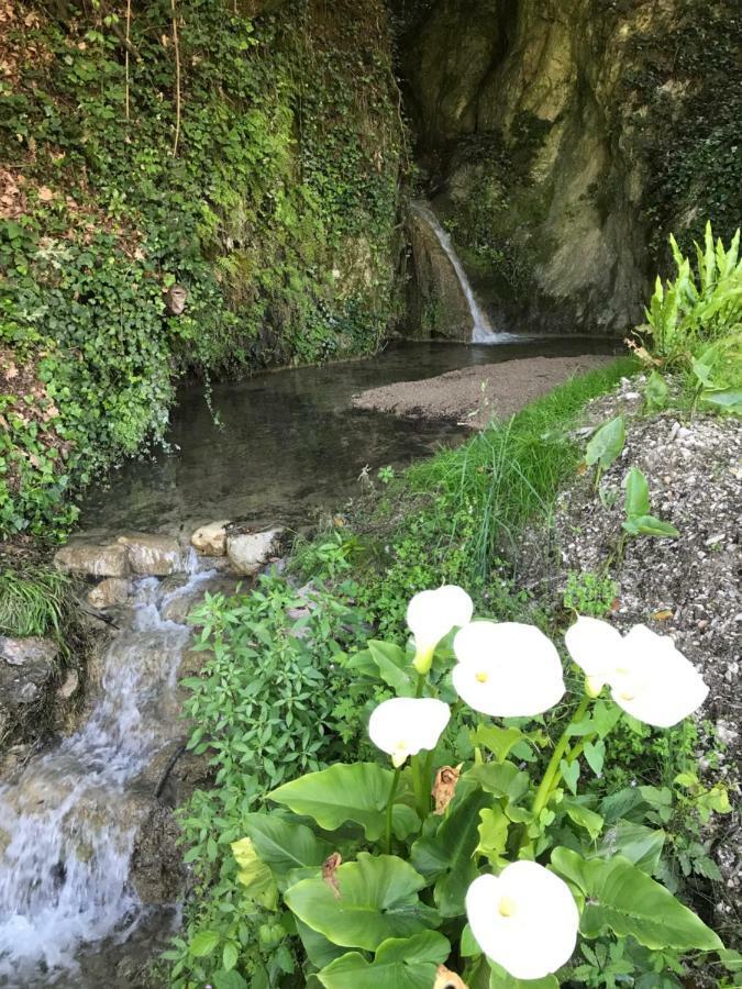La Cascata Negli Ulivi Bed & Breakfast Toscolano Maderno Eksteriør bilde
