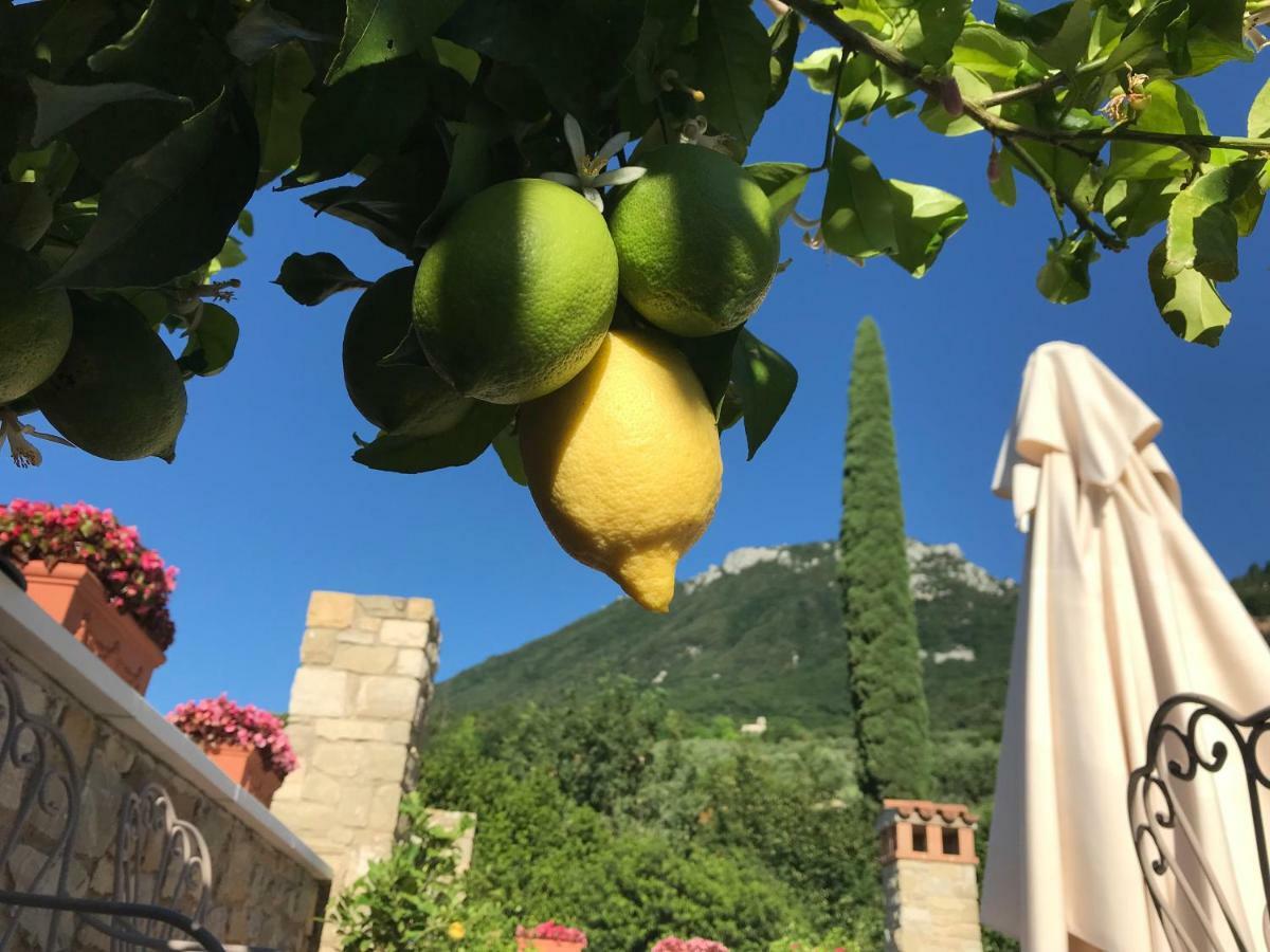 La Cascata Negli Ulivi Bed & Breakfast Toscolano Maderno Eksteriør bilde