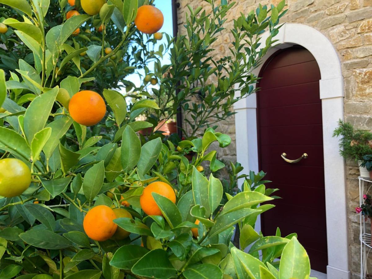 La Cascata Negli Ulivi Bed & Breakfast Toscolano Maderno Eksteriør bilde